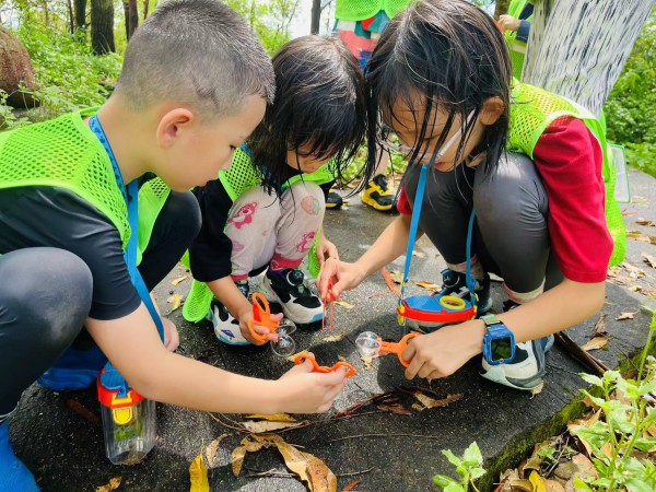 Environmental Awareness