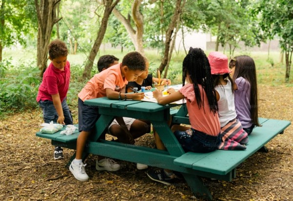 Educational Development